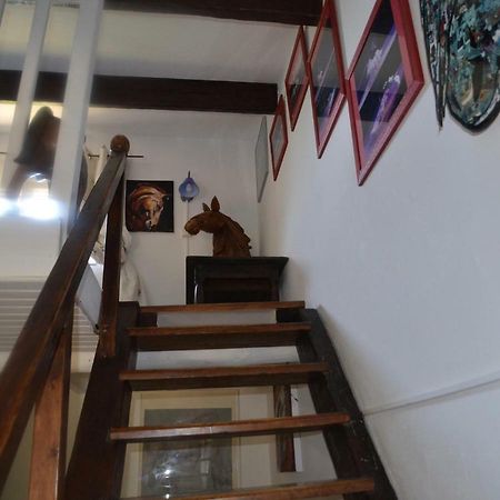 Gites Chambres D'Hotes Mazet Du Marechal Ferrant Сент-Марі-де-ла-Мер Екстер'єр фото
