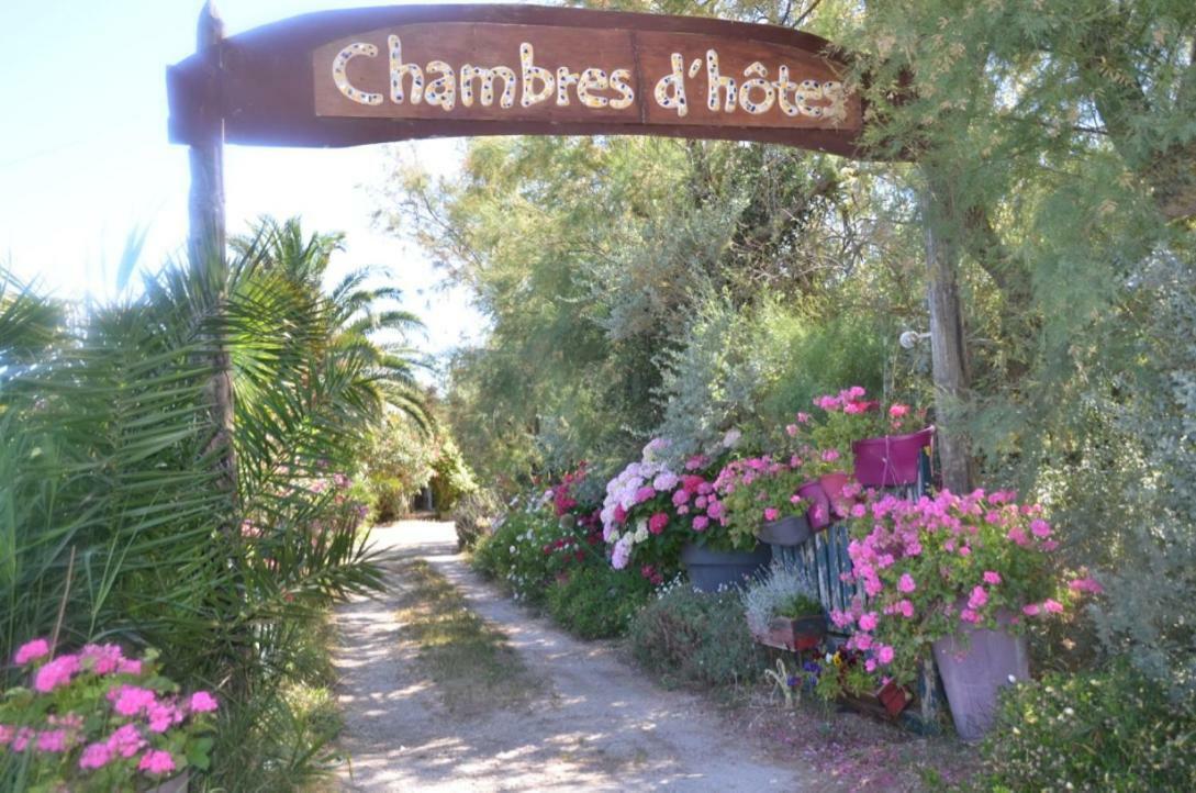 Gites Chambres D'Hotes Mazet Du Marechal Ferrant Сент-Марі-де-ла-Мер Екстер'єр фото