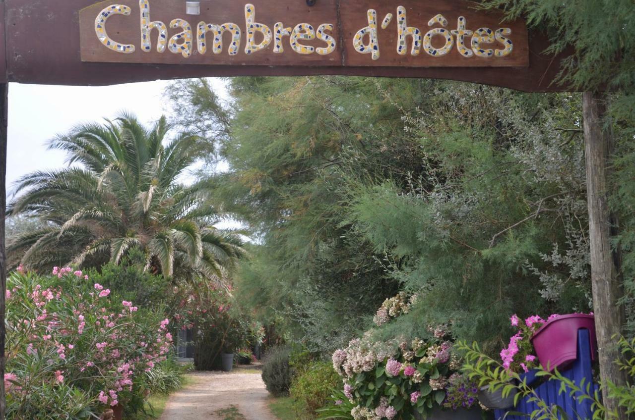 Gites Chambres D'Hotes Mazet Du Marechal Ferrant Сент-Марі-де-ла-Мер Екстер'єр фото